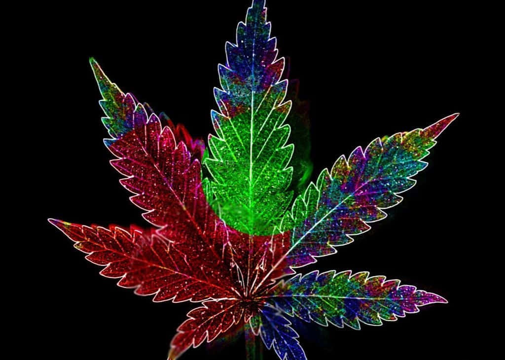 Imagenen Primer Plano De Hojas De Marihuana De Color Verde Vibrante