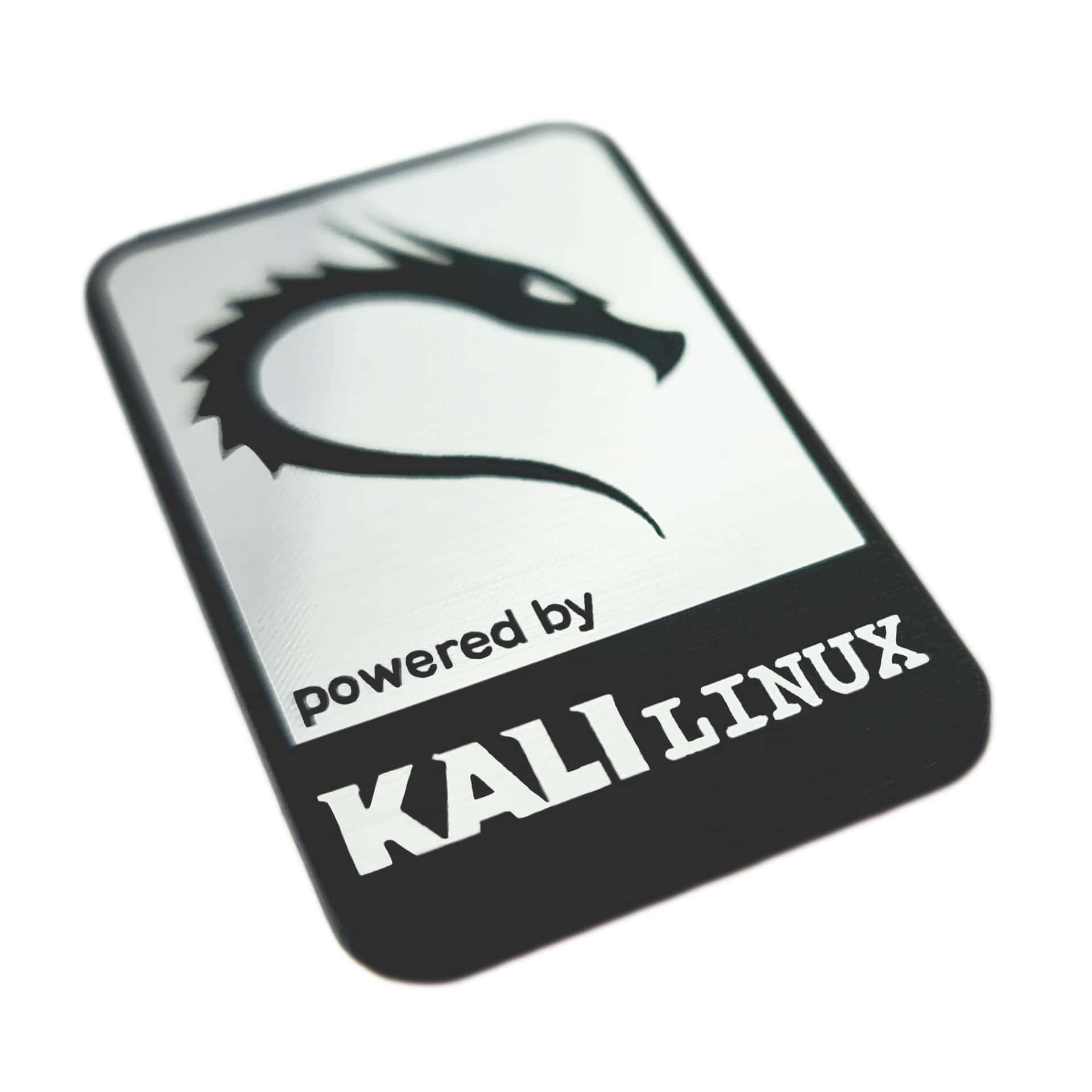 Imágenesde Kali Linux.