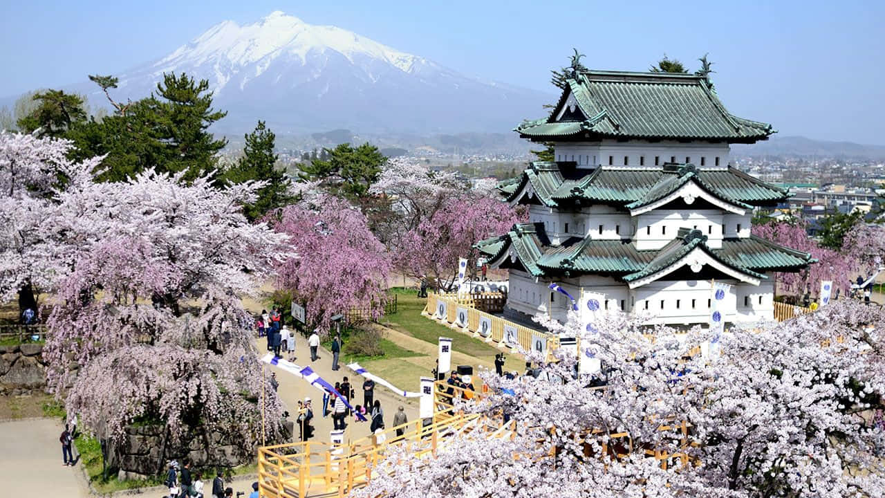 Imágenesde Vista Aérea Del Parque Hirosaki En Floración De Cerezos