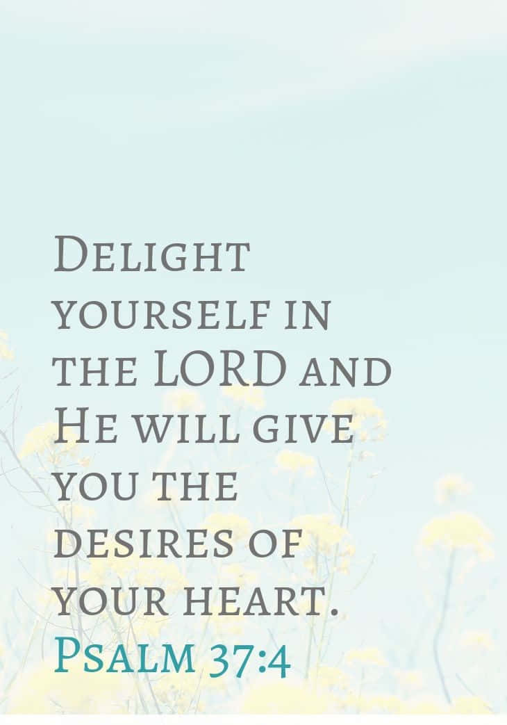 Imagensestéticas Com Versículos Da Bíblia