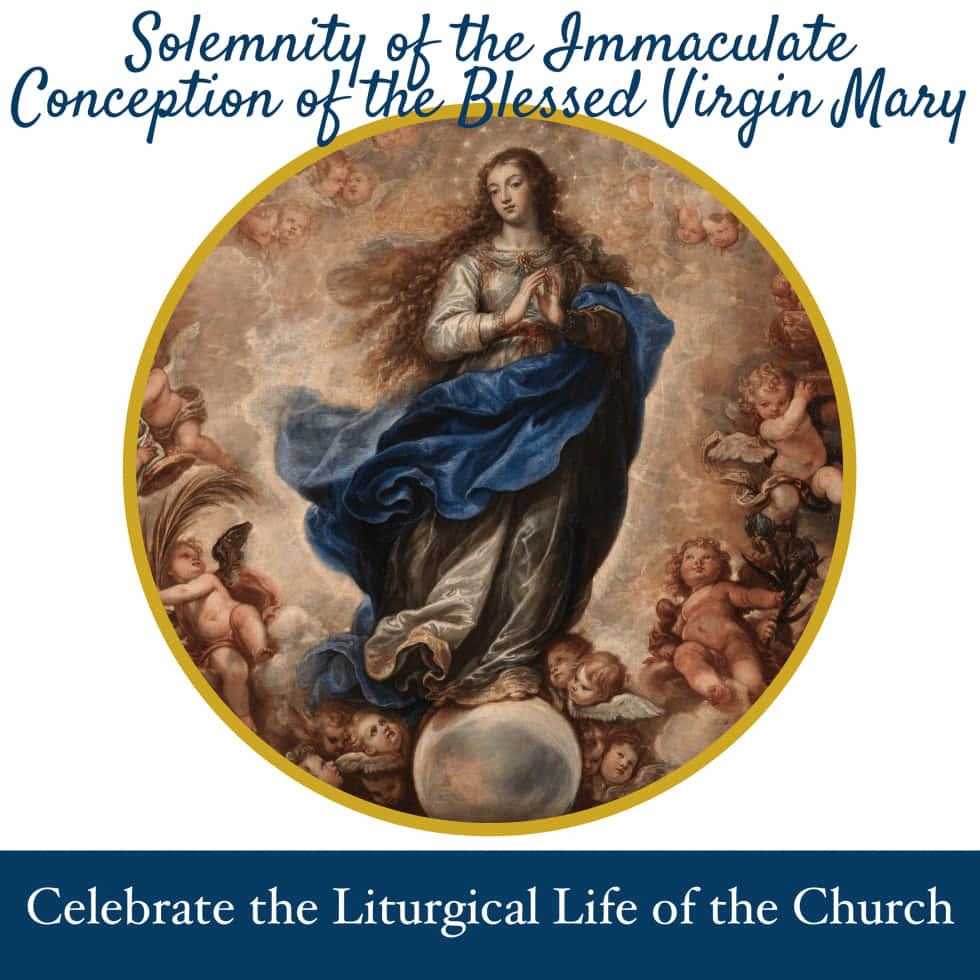 Immaculate Conception Solemnity Wallpaper