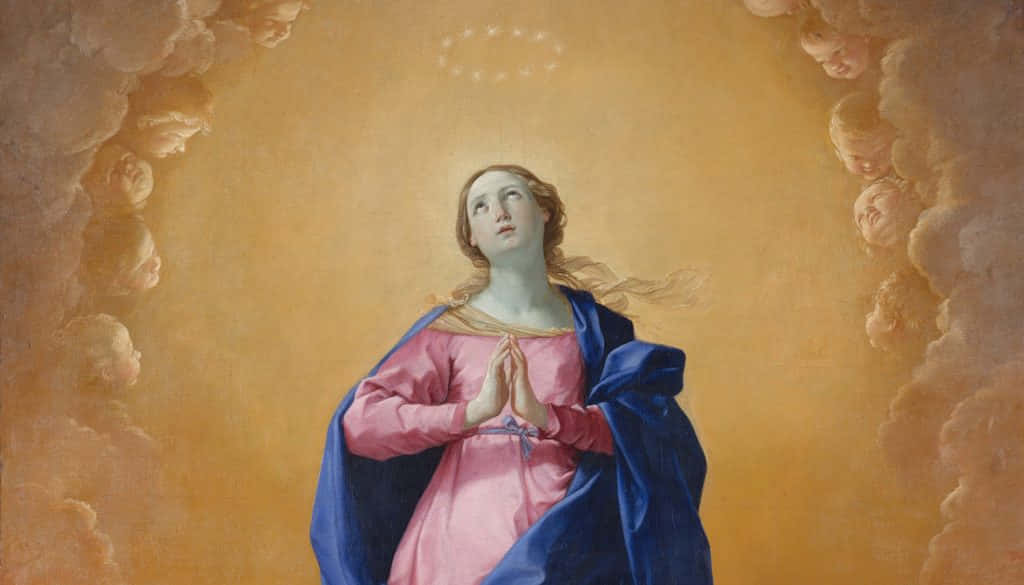 Immaculate Mary In Pink Wallpaper
