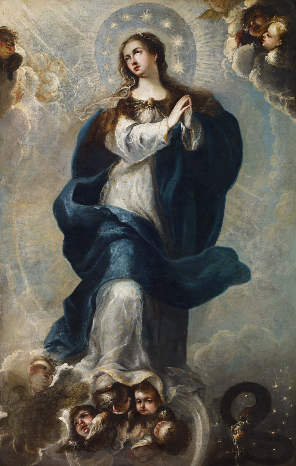 Immaculate Mary Looking Sideways Wallpaper