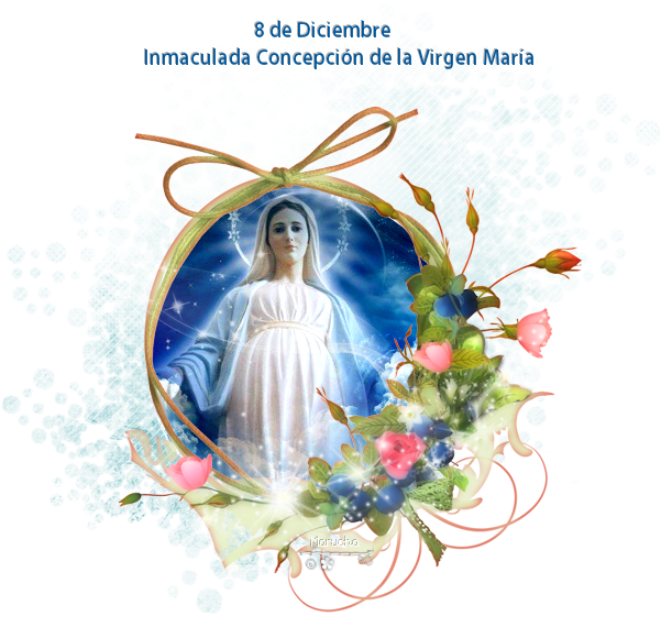 Immaculate_ Conception_of_ Virgin_ Mary_ Celebration PNG