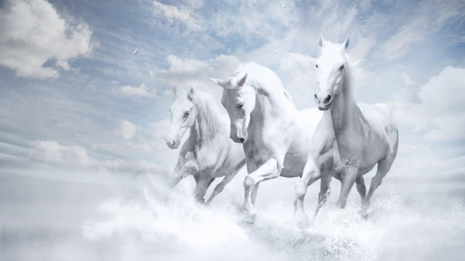 Immaculately-looking Beautiful Horses Running Wallpaper