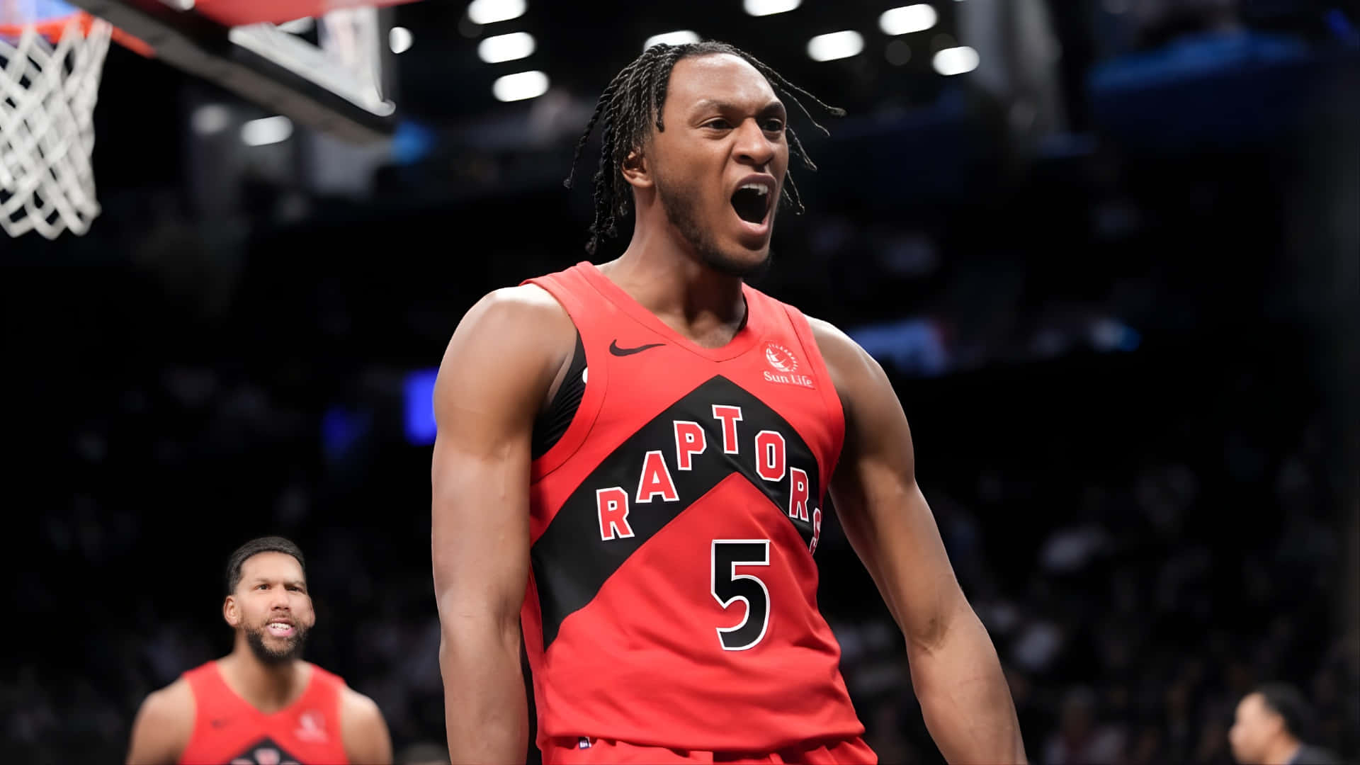 Celebración De Immanuel Quickley Raptors Fondo de pantalla