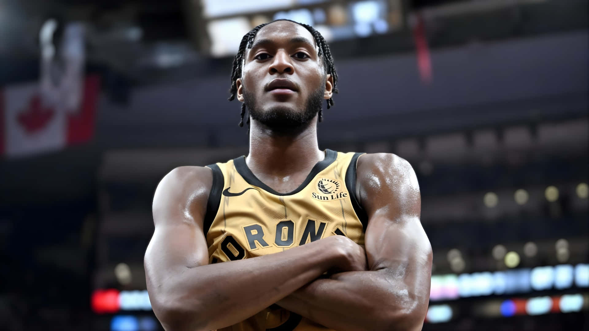 Immanuel Quickley Toronto Raptors Fondo de pantalla