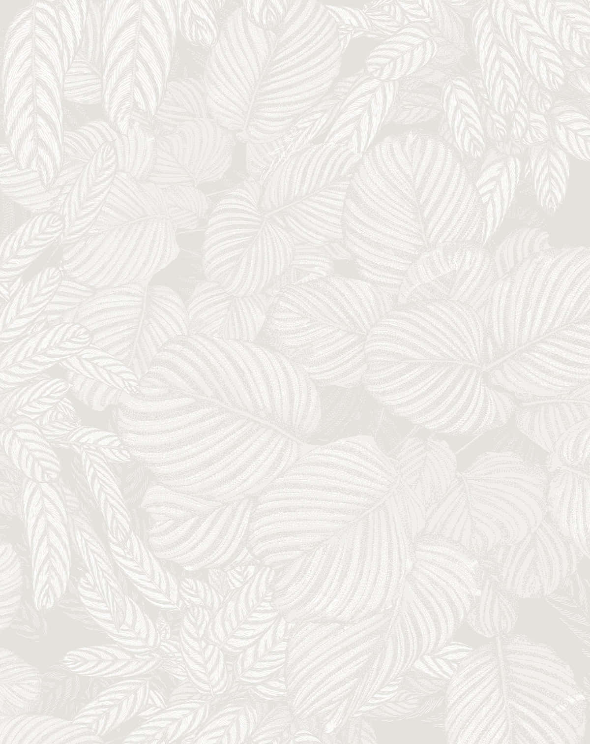 Impartial Gray Tropical Leaves Wallpaper