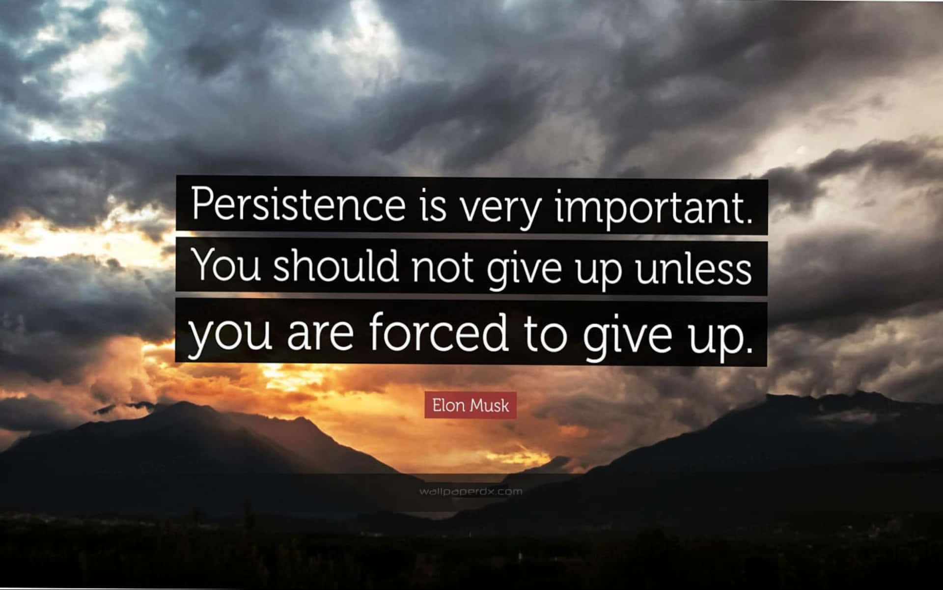 Importance Of Being Persistent Wallpaper