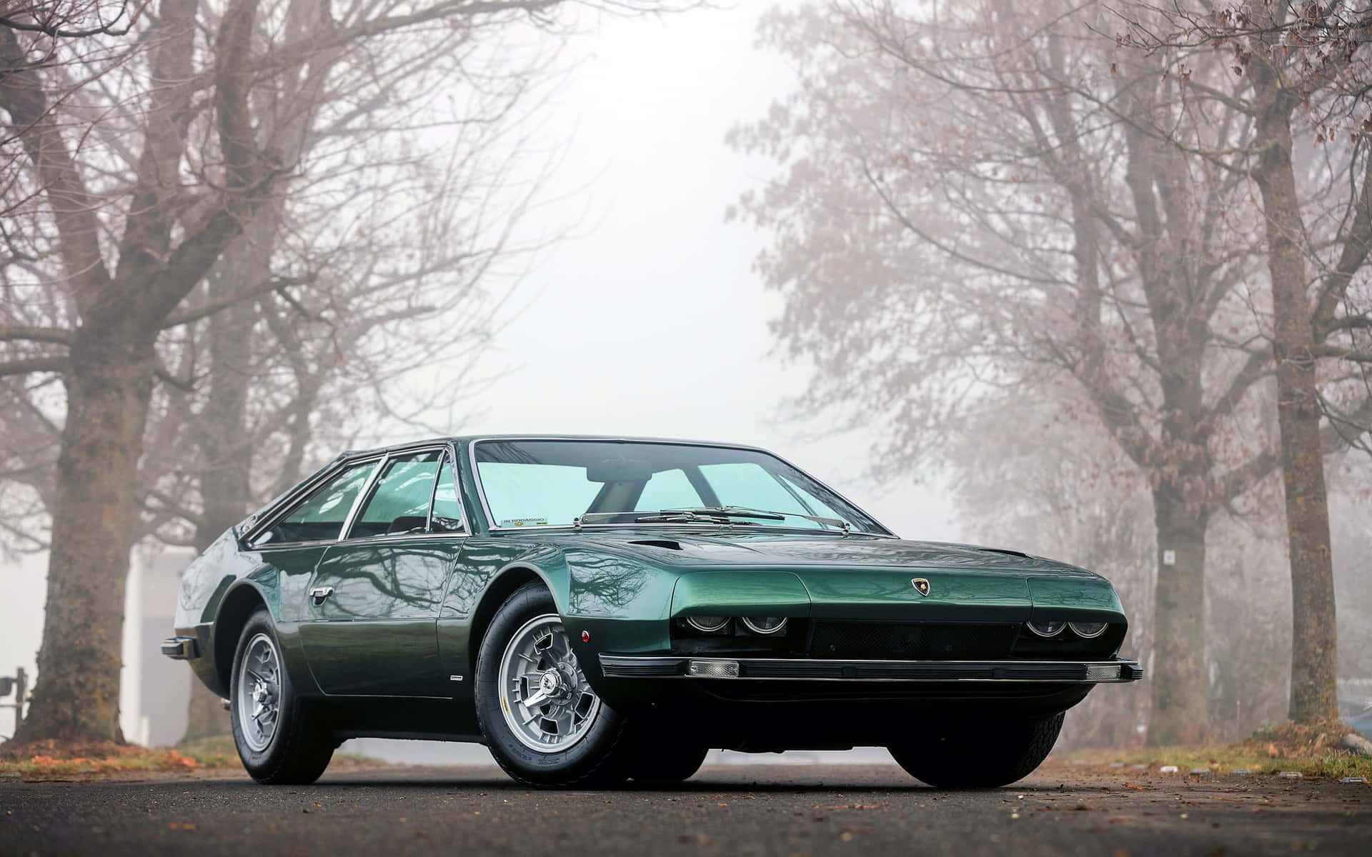 Imposing Elegance - The Lamborghini Jarama Wallpaper