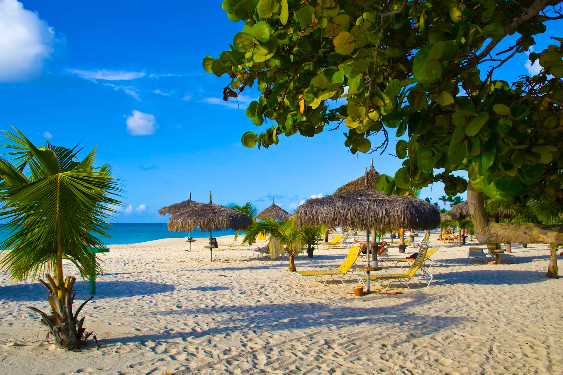 Impresionanteescenario De La Playa De Aruba.