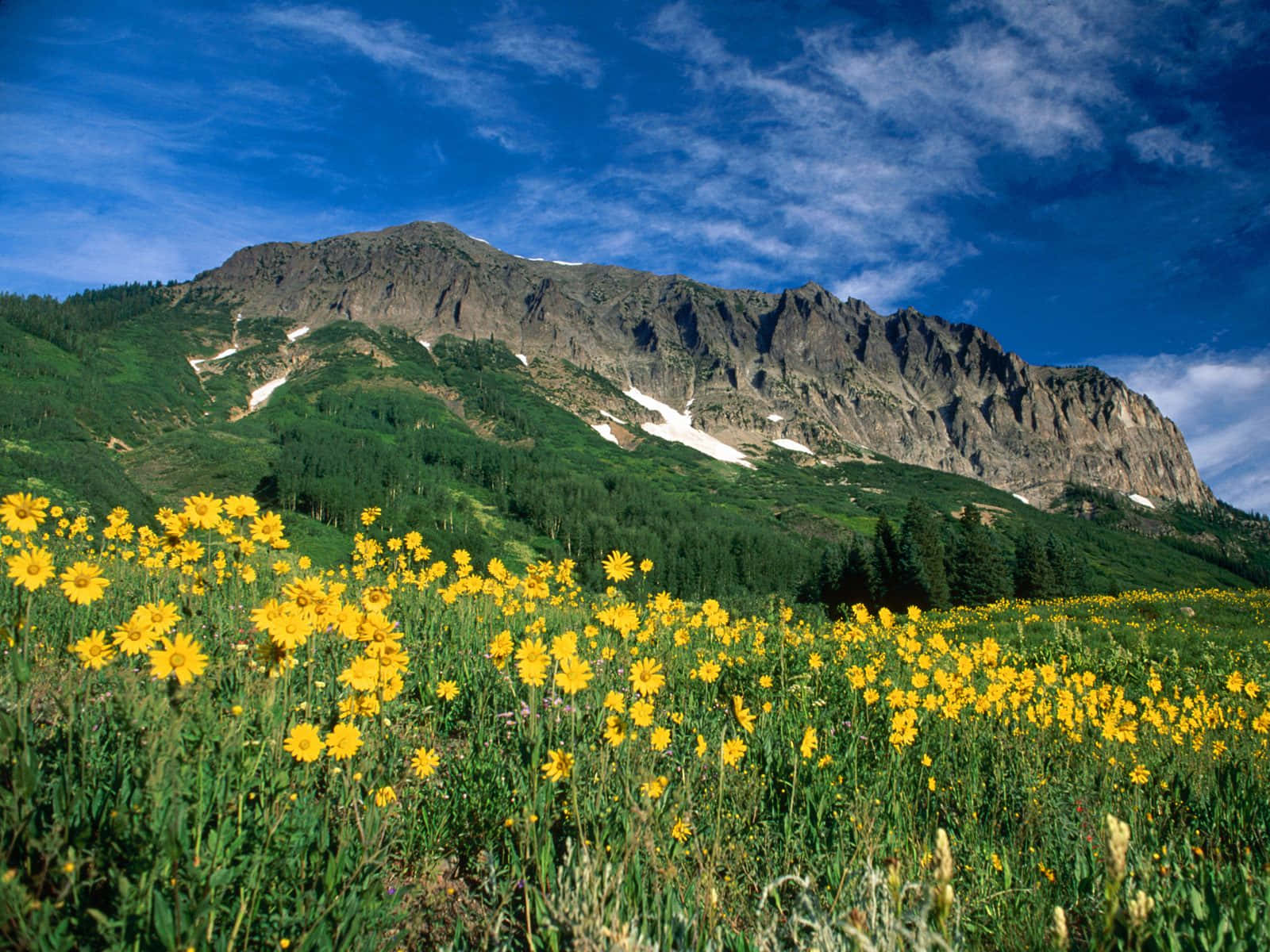 Impresionantepaisaje De Colorado Al Atardecer