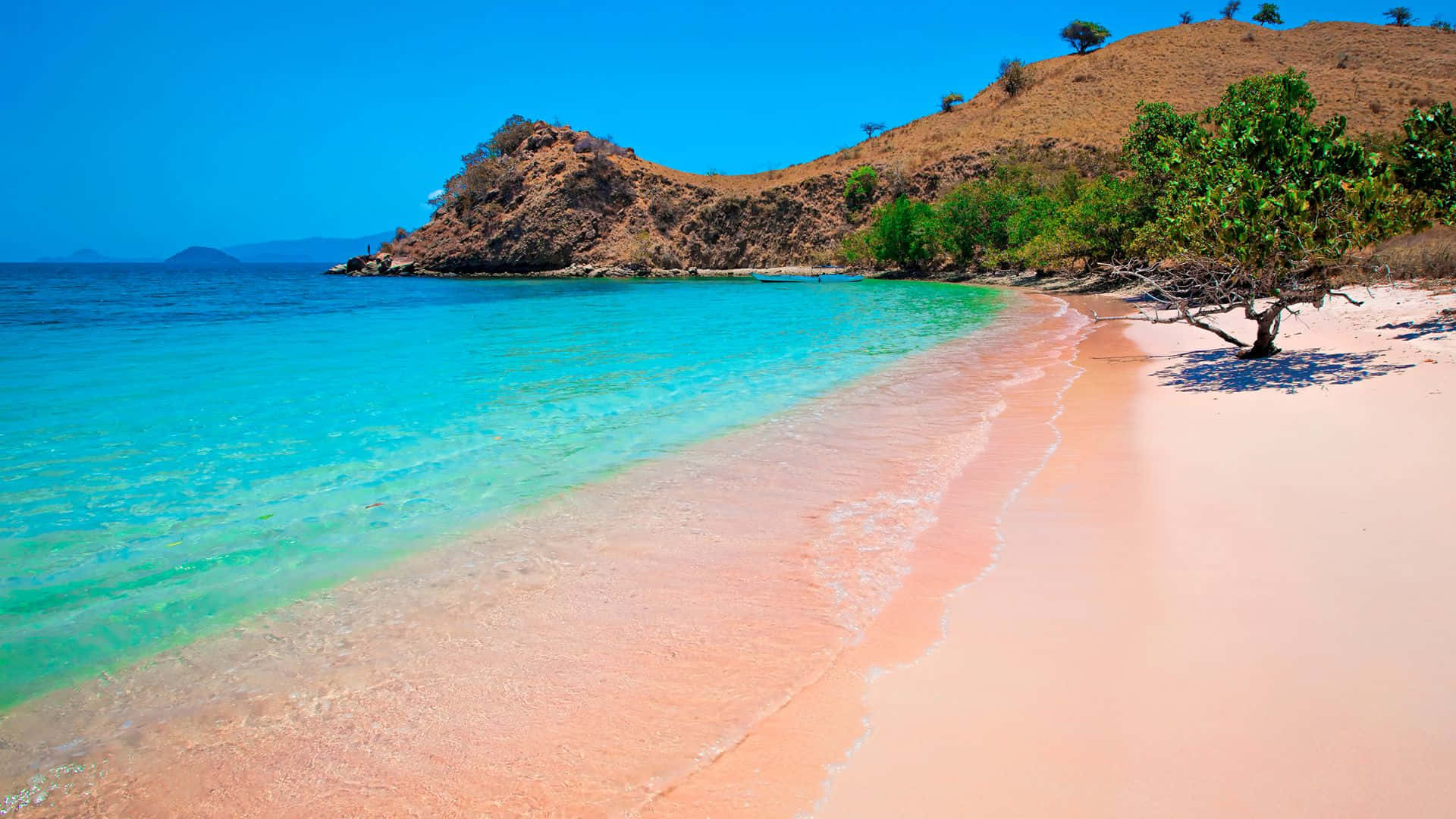 Impresionantepaisaje De Playa En Tonos Rosados. Fondo de pantalla