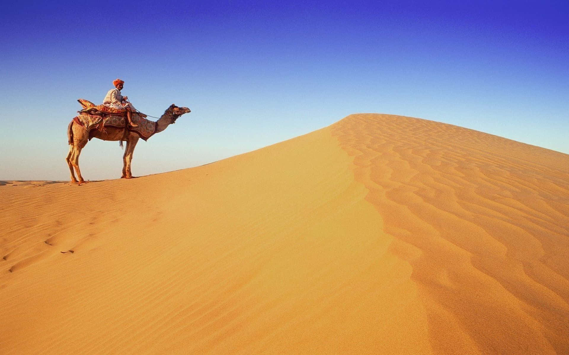 Impresionantepaisaje Desértico De Rajasthan