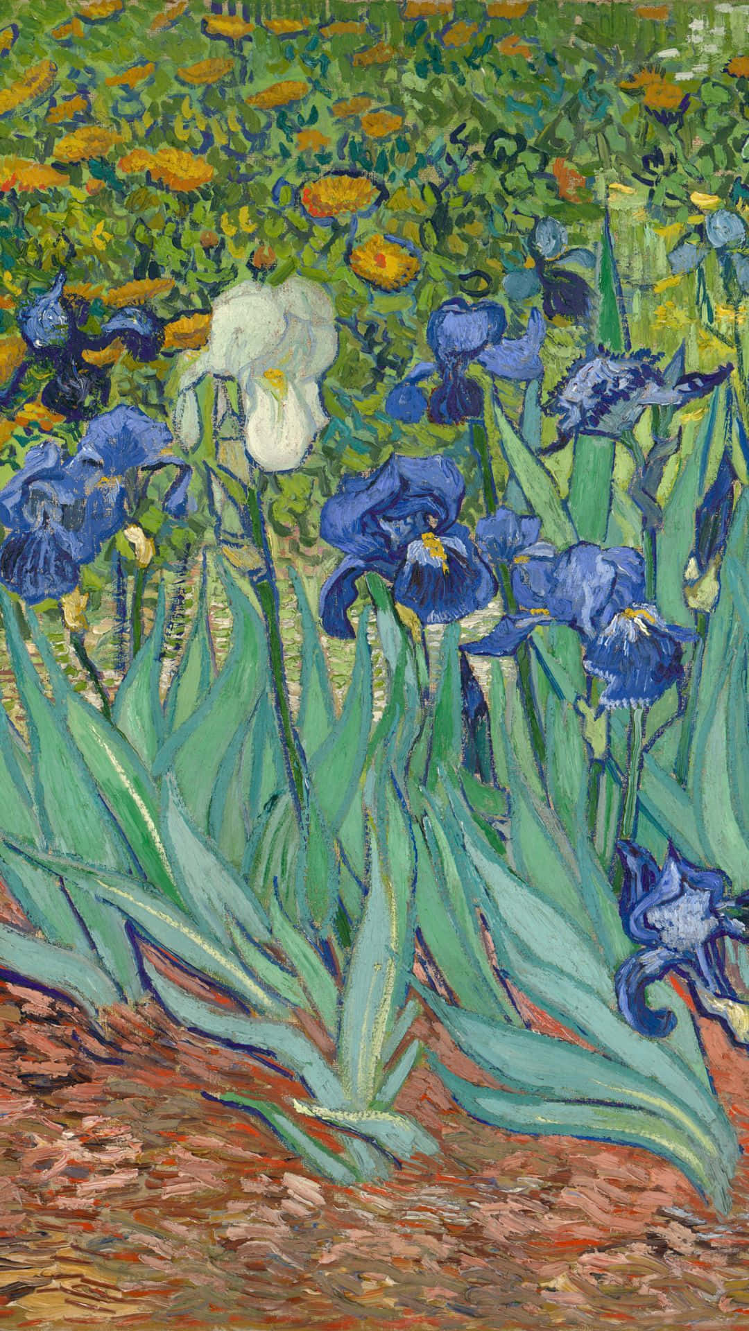 Impressionist Irises Painting Wallpaper