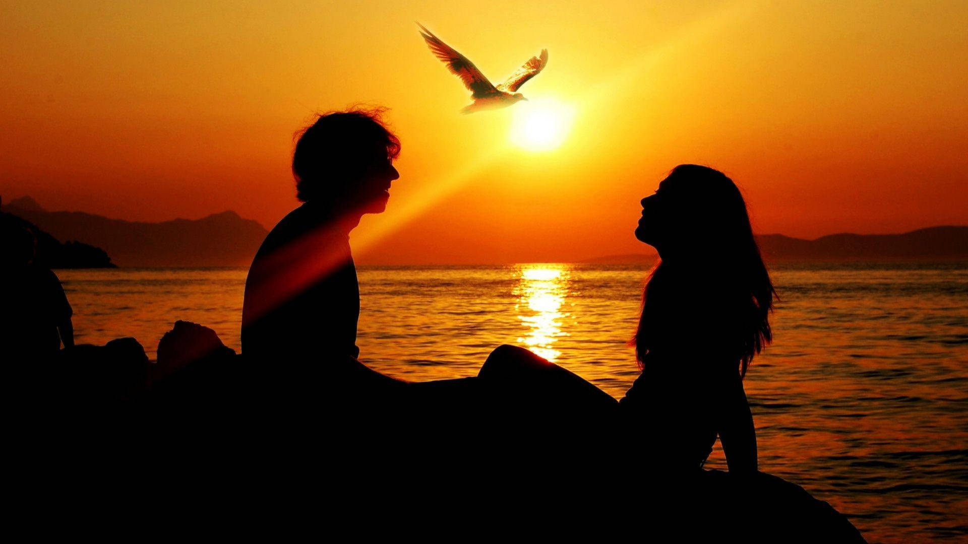 In Love Couples Romantic Sunset Wallpaper