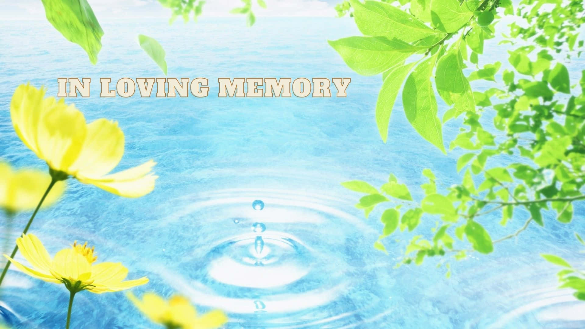 Water Droplet In Loving Memory Background