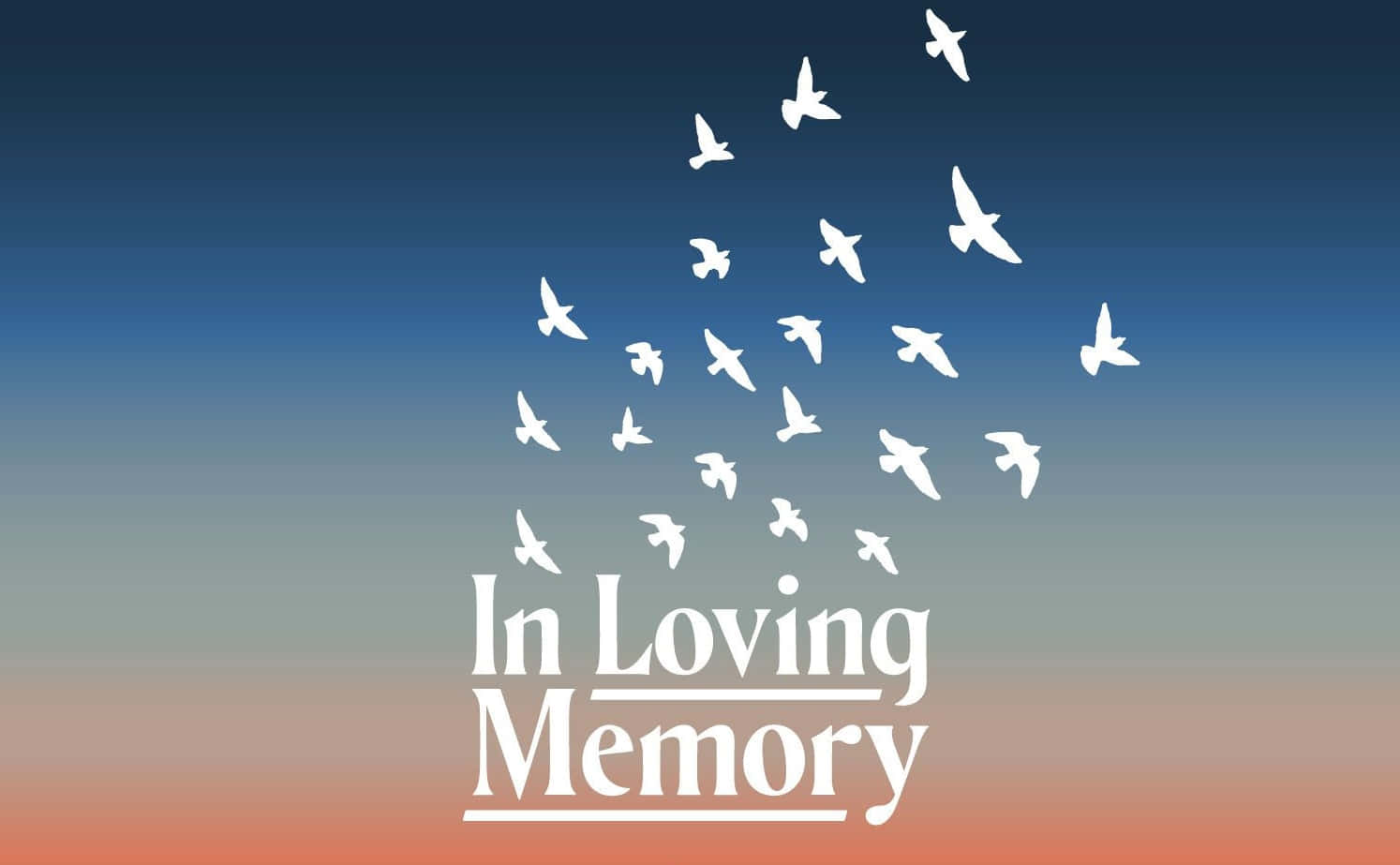 White Doves In Loving Memory Background