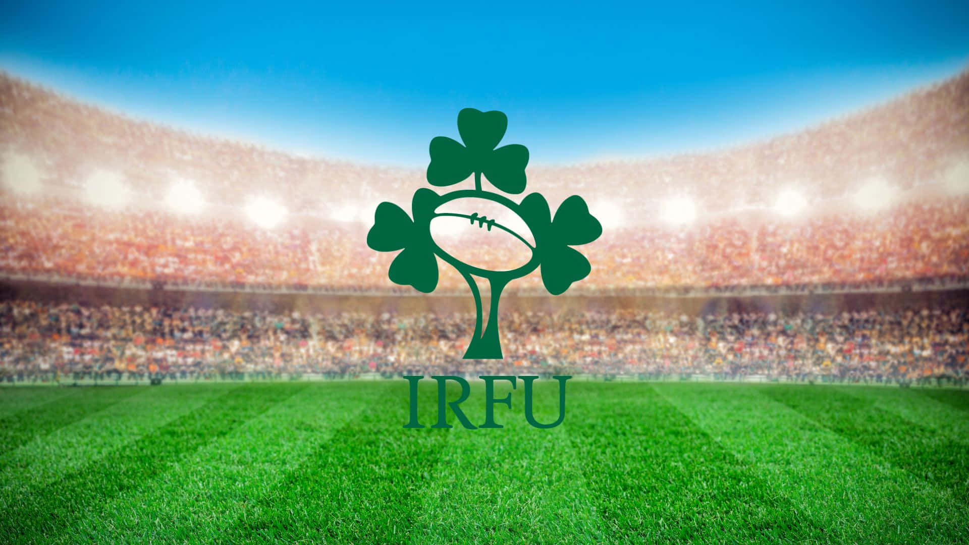 In Spanish: Momentos Cautivadores Del Equipo De Rugby De Irlanda Fondo de pantalla