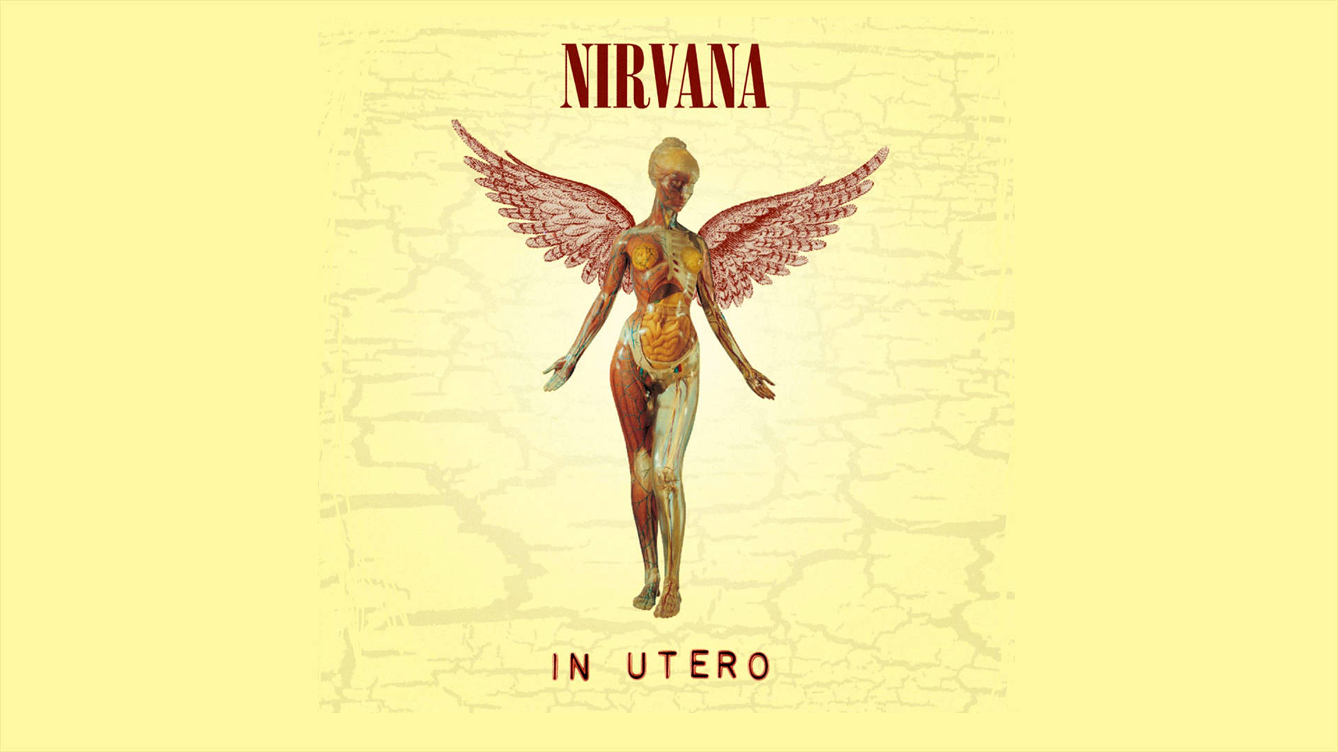Album Cover Nirvana 4K Tapet In Utero Wallpaper