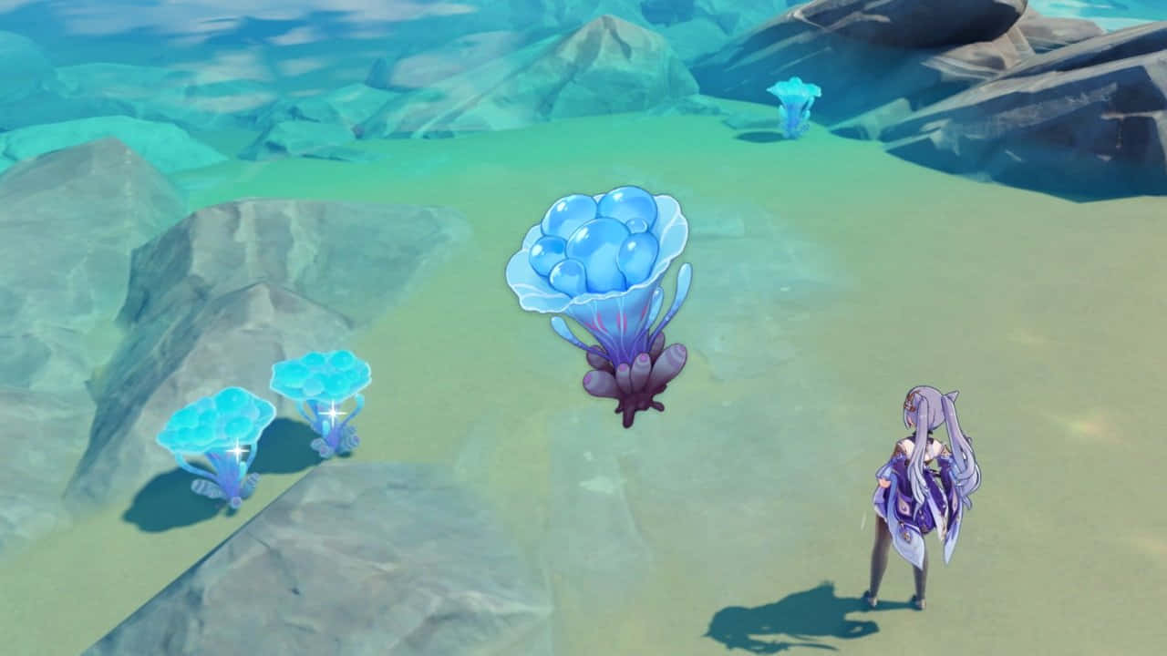 Unachica Está De Pie Frente A Una Roca Con Flores Azules Fondo de pantalla