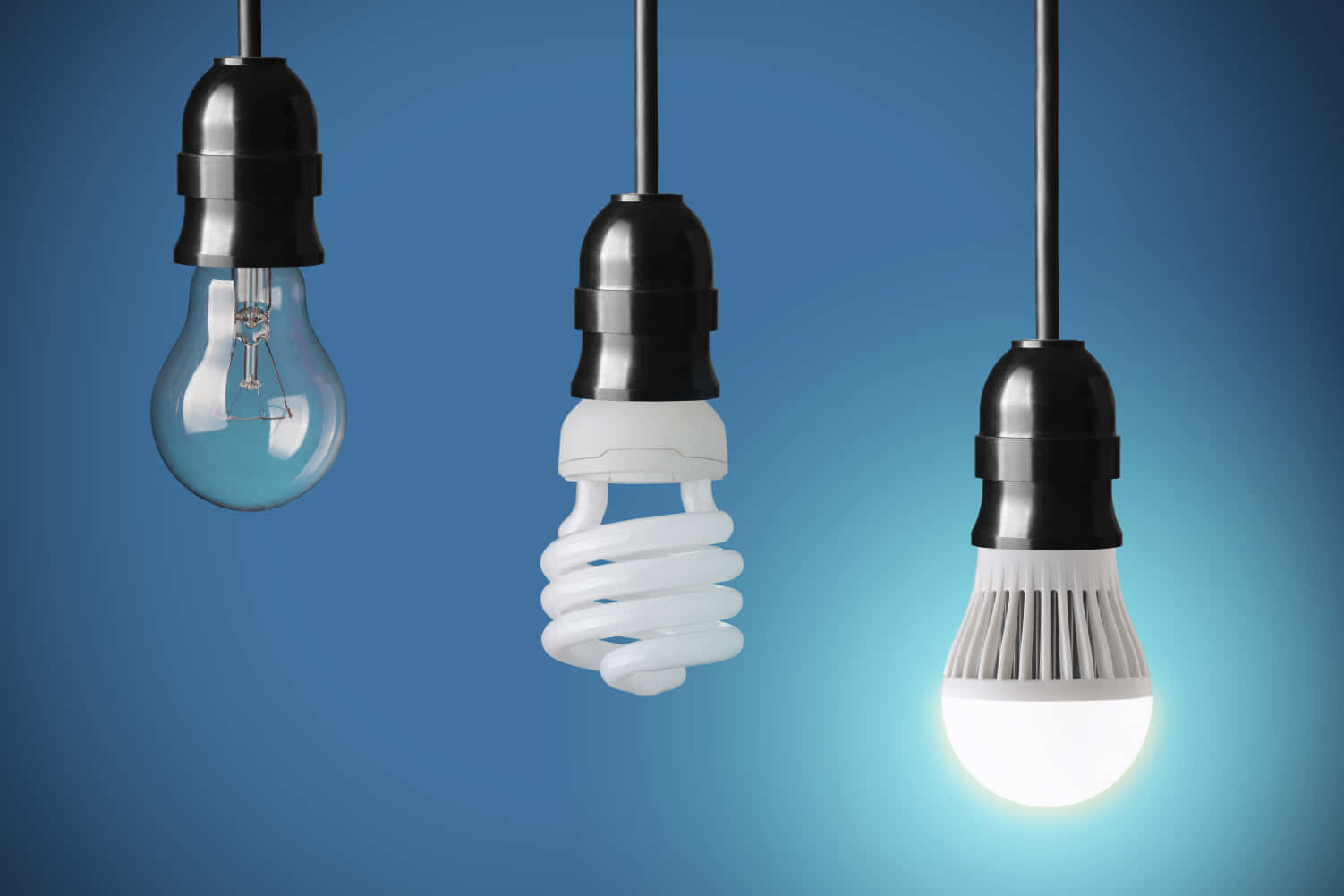 Incandescent Bulbs In Various Shapes Wallpaper