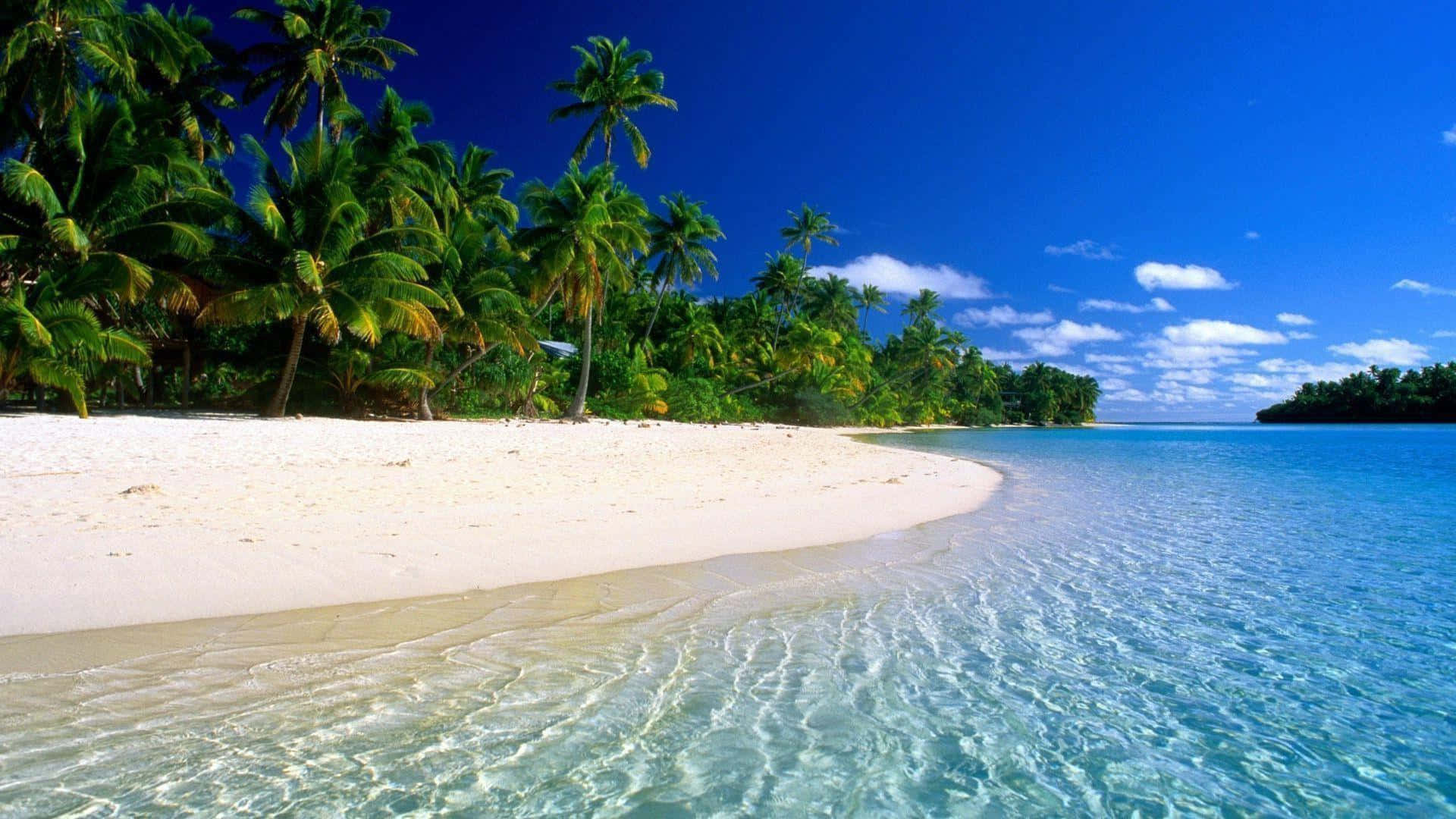 Incredibilevista Panoramica Di Un Paradiso Tropicale Sulla Spiaggia