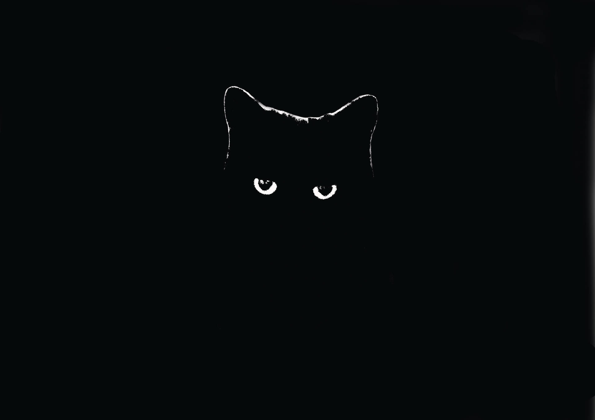 Unglaublicheschwarze Katze Dunkel 4k Wallpaper