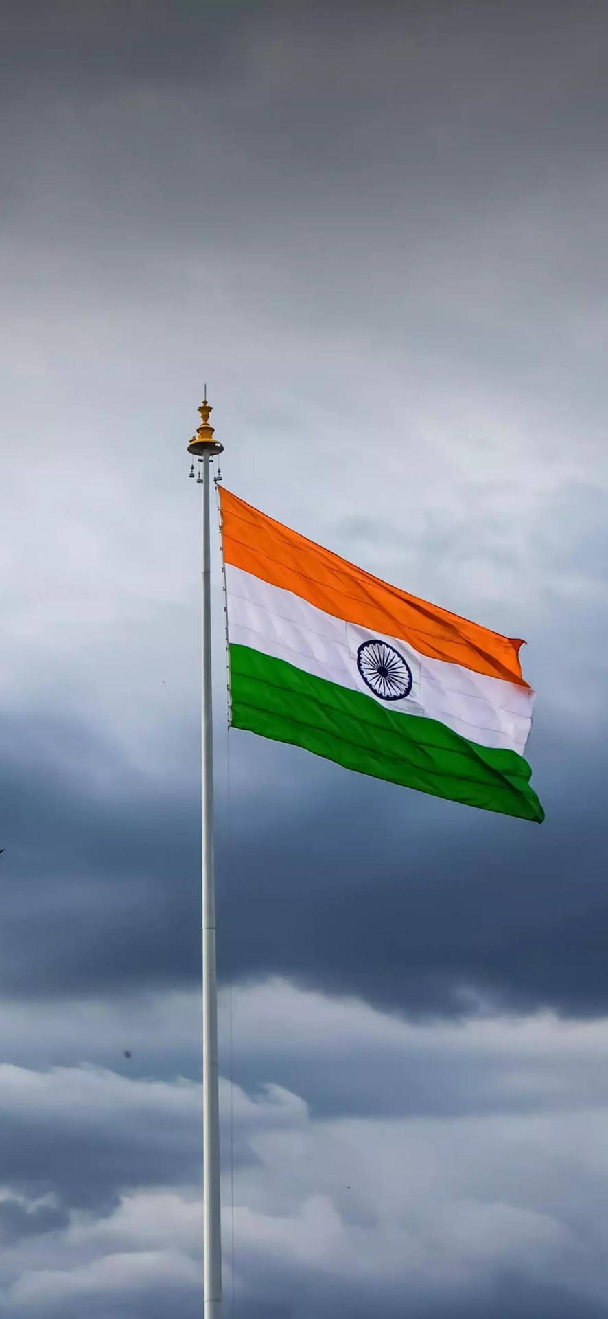 Incredible Indian Flag Mobile Background