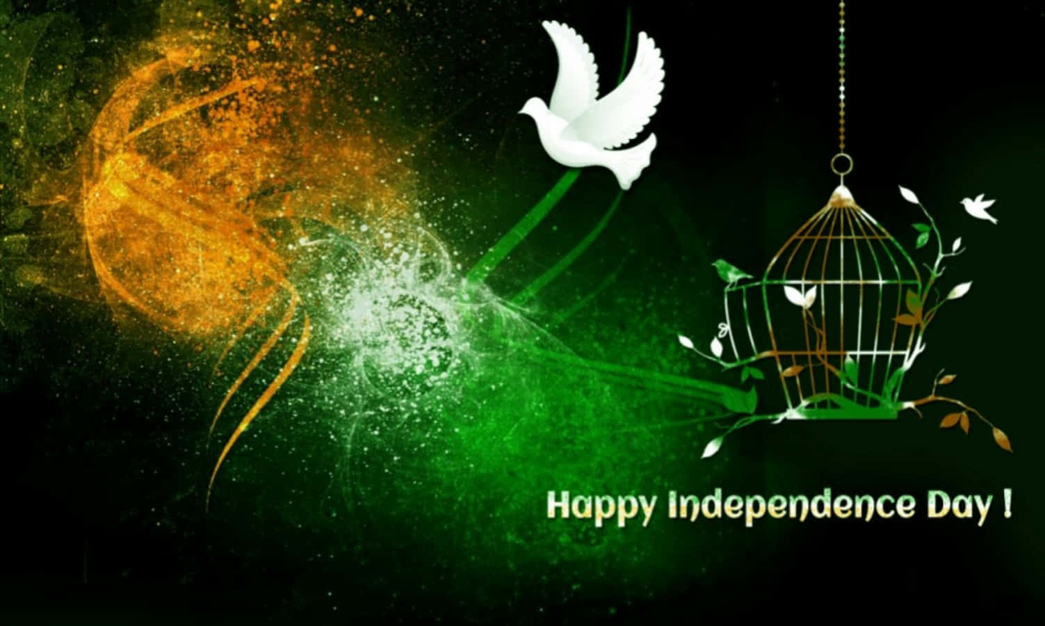 India Independence Day Dove Out Of Cage Picture
