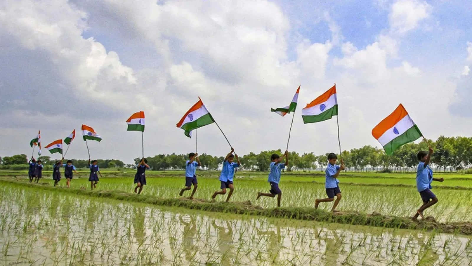 Díade La Independencia De La India Niños Bandera India Imagen De Campo De Arroz