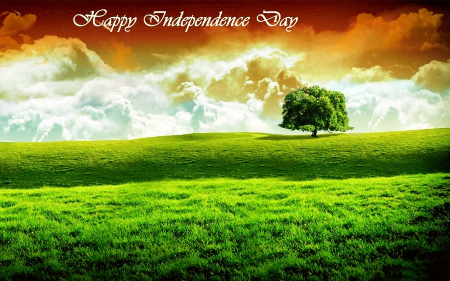 Imagendel Bosque En El Día De La Independencia De India