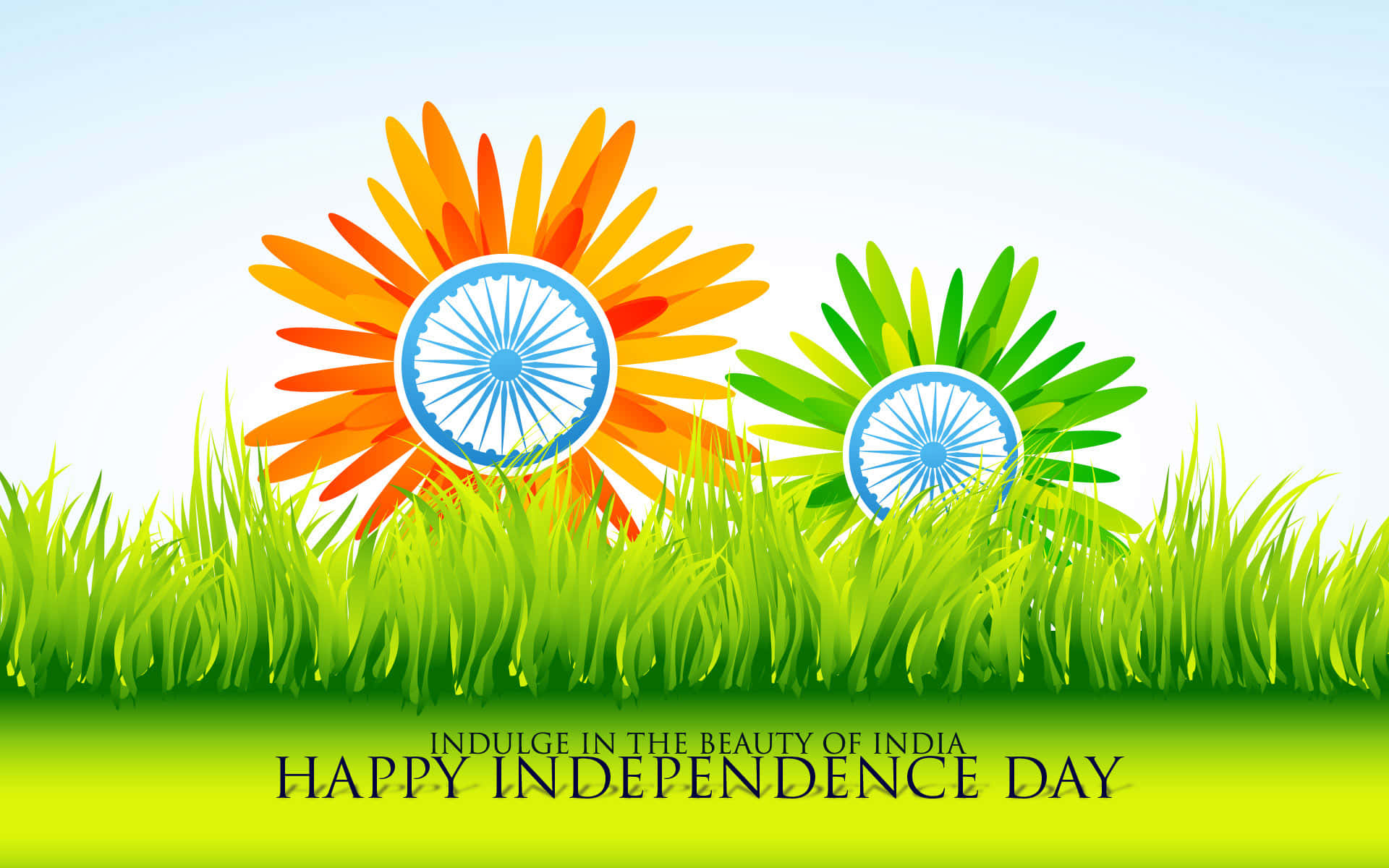 India Independence Day Flowers And Grass Picture