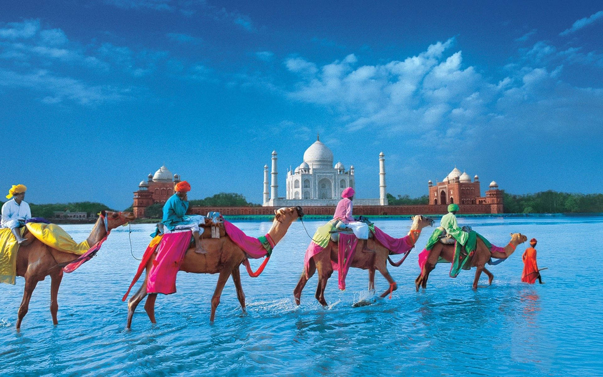 Indientaj Mahal Med Kameler. Wallpaper