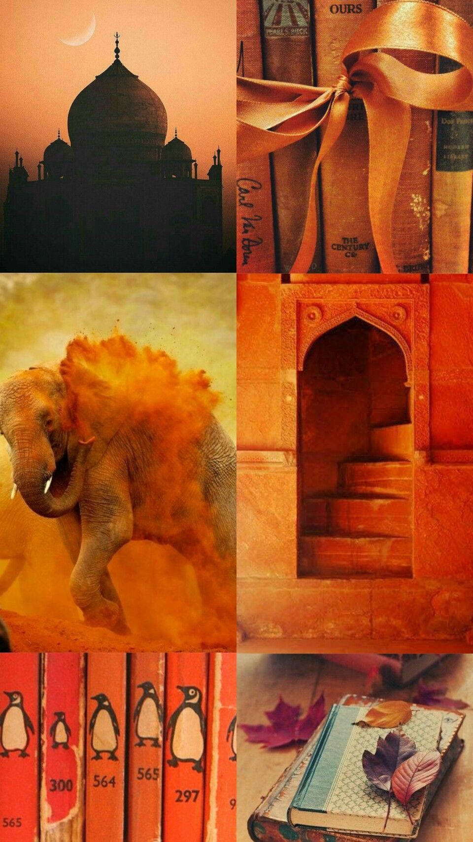 Indian Aesthetic Orange Collage
