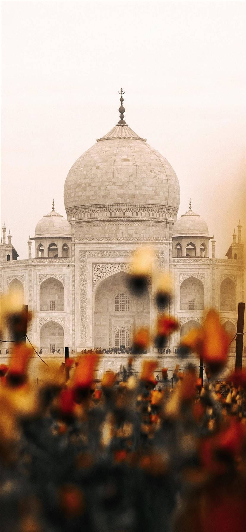Indian Aesthetic Taj Mahal Flowers