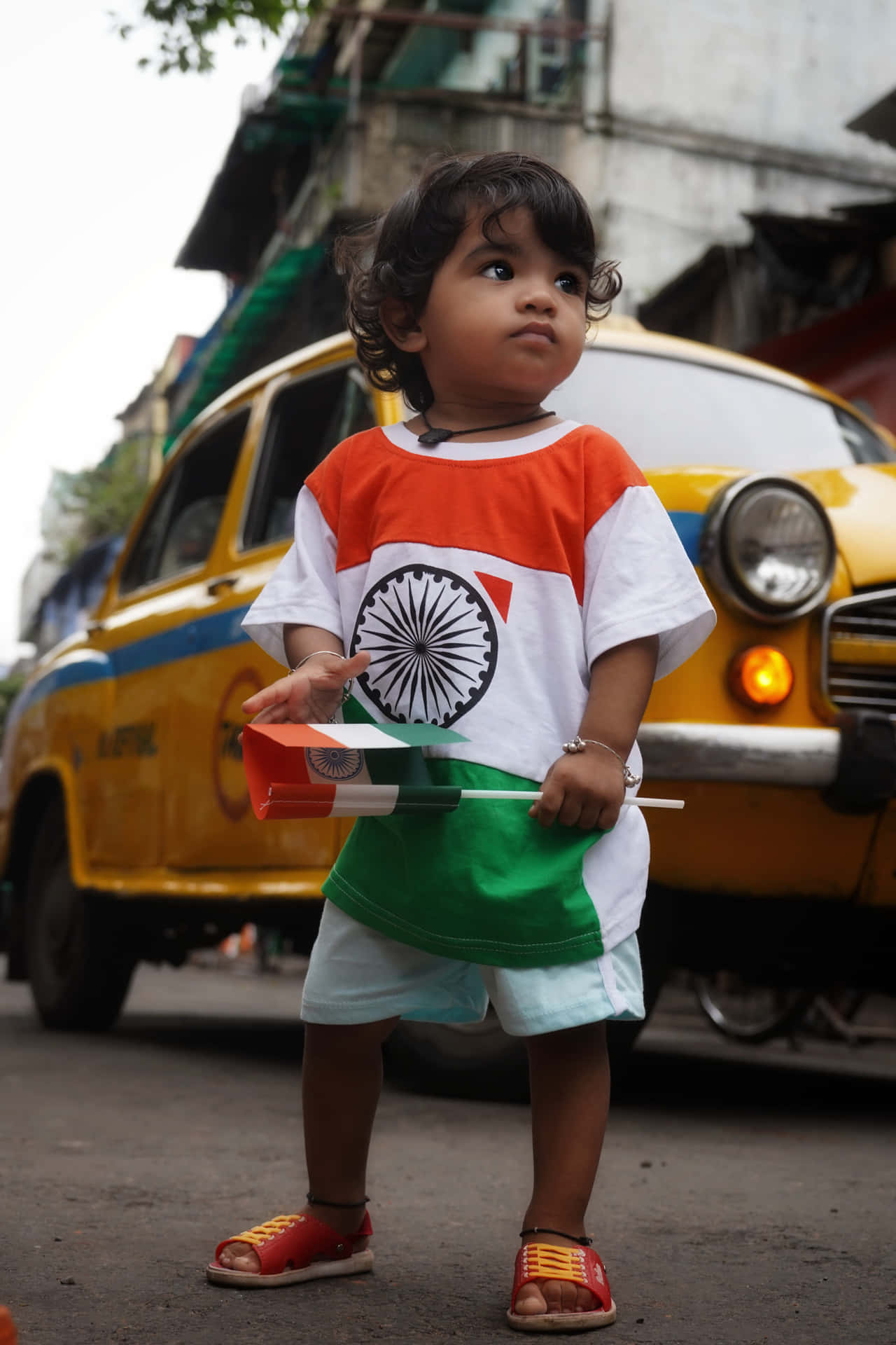 Baby Indian Boy Holding Flag Picture