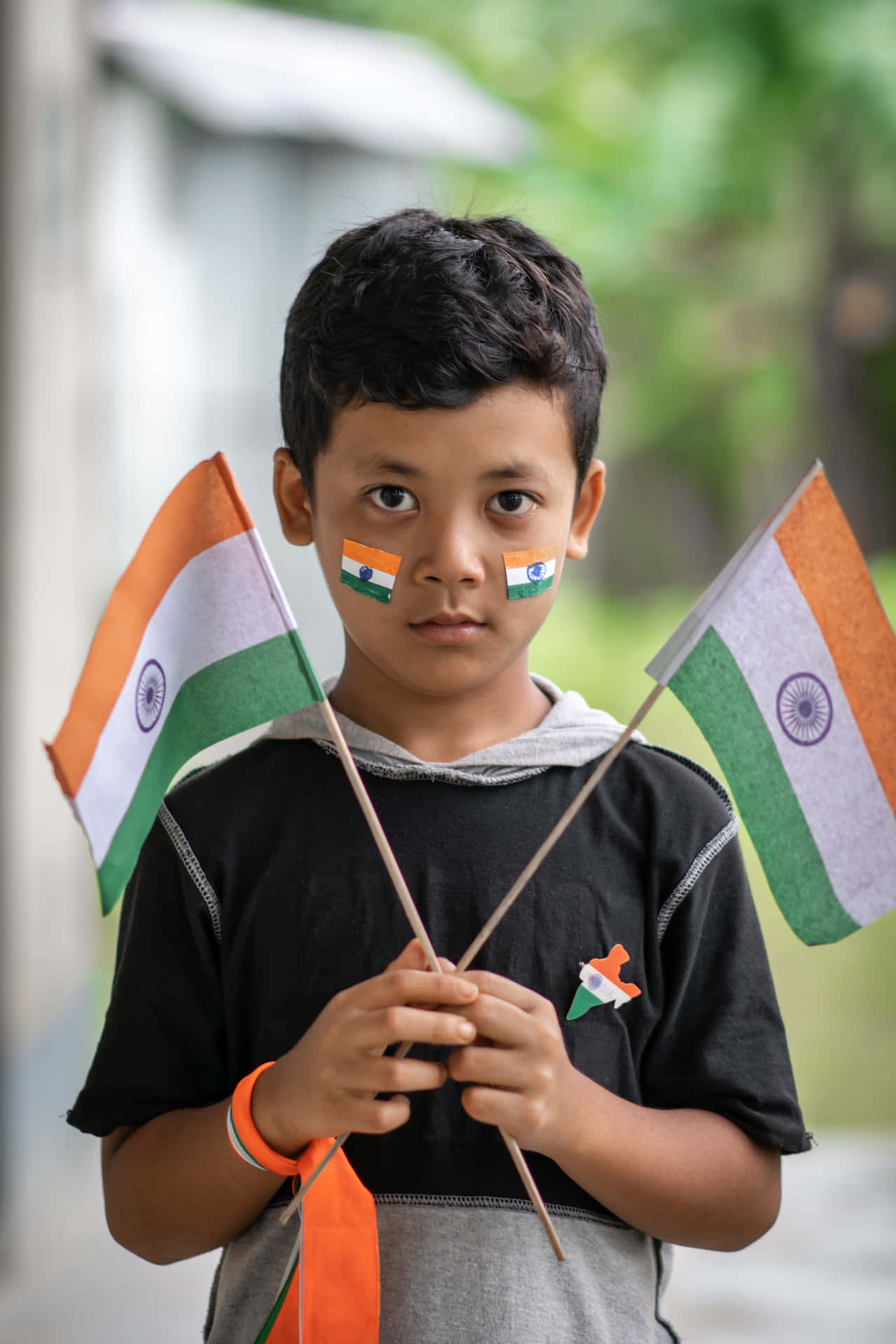 Indian Boy Holding Flags Picture