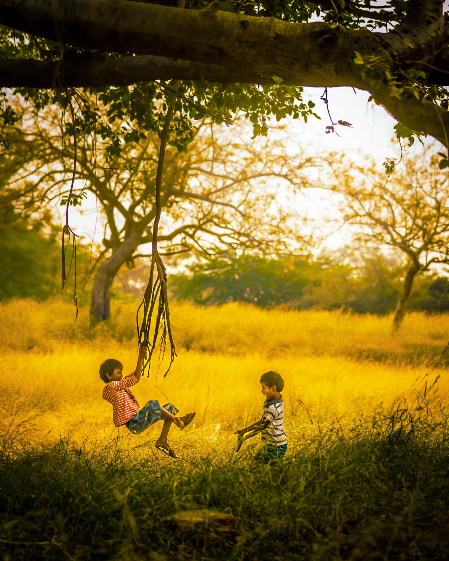 Indian Boy Swinging On Tree Branch Picture