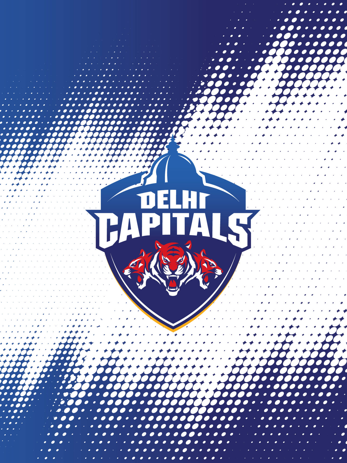 Download Indian Cricket Team Logo Delhi Capitals Wallpaper 