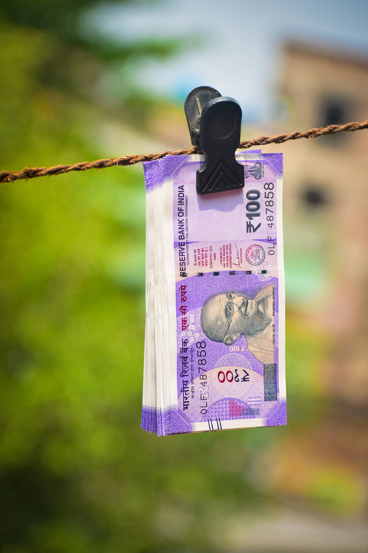 Indian Currency 100 Bills Clothesline Picture