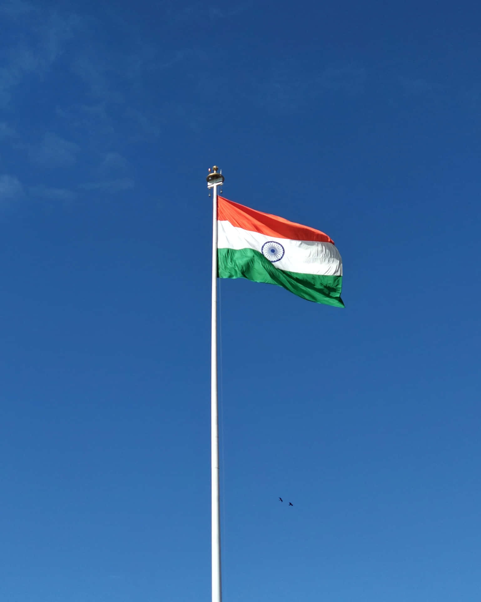 Detindiske Flag - Et Symbol På Stolthed.