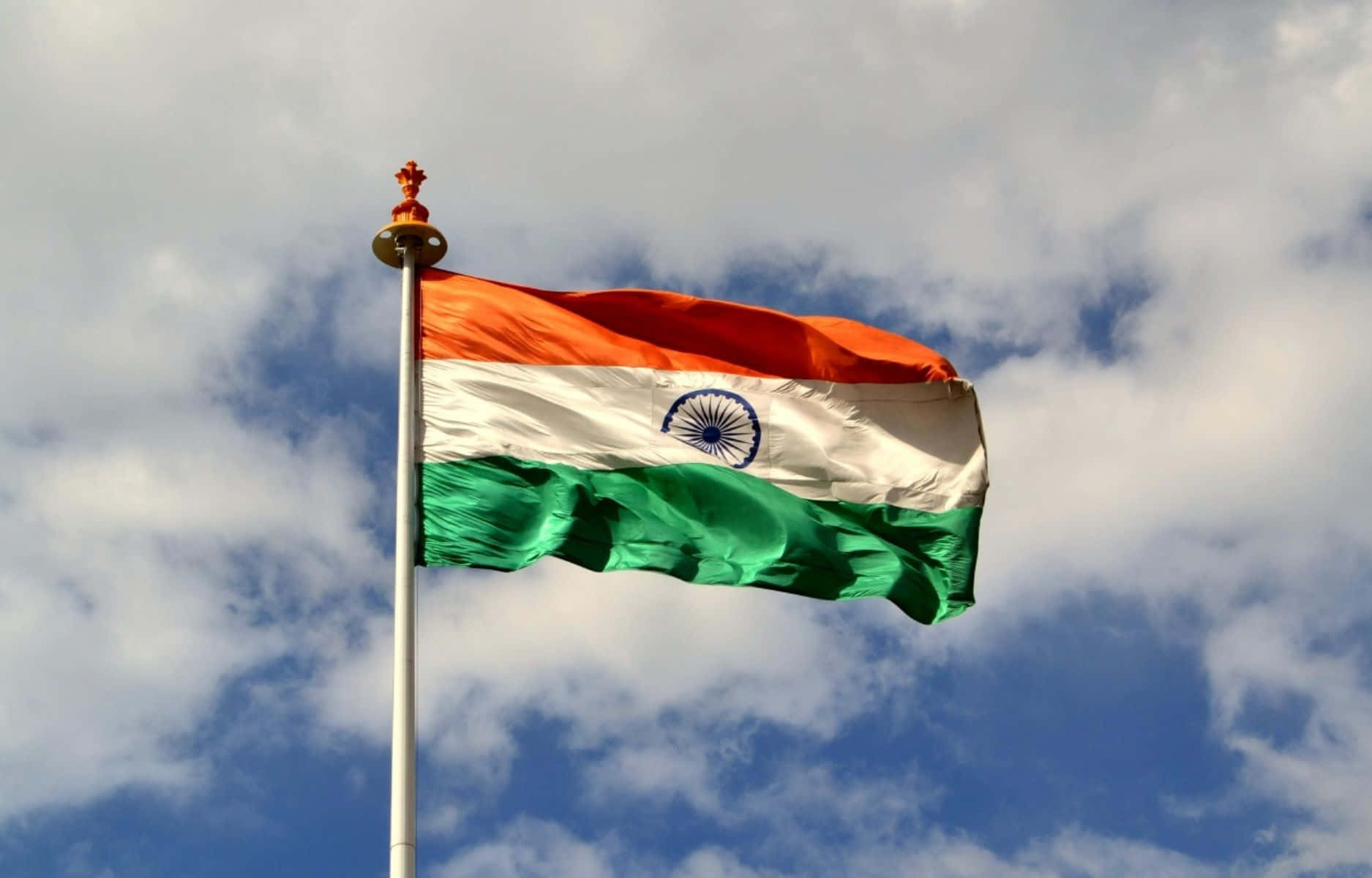 Denindischen Flagge Zu Salutieren, Symbol Nationalen Stolzes.