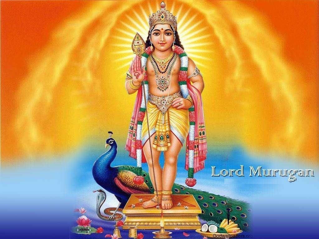 Indian God Murugan