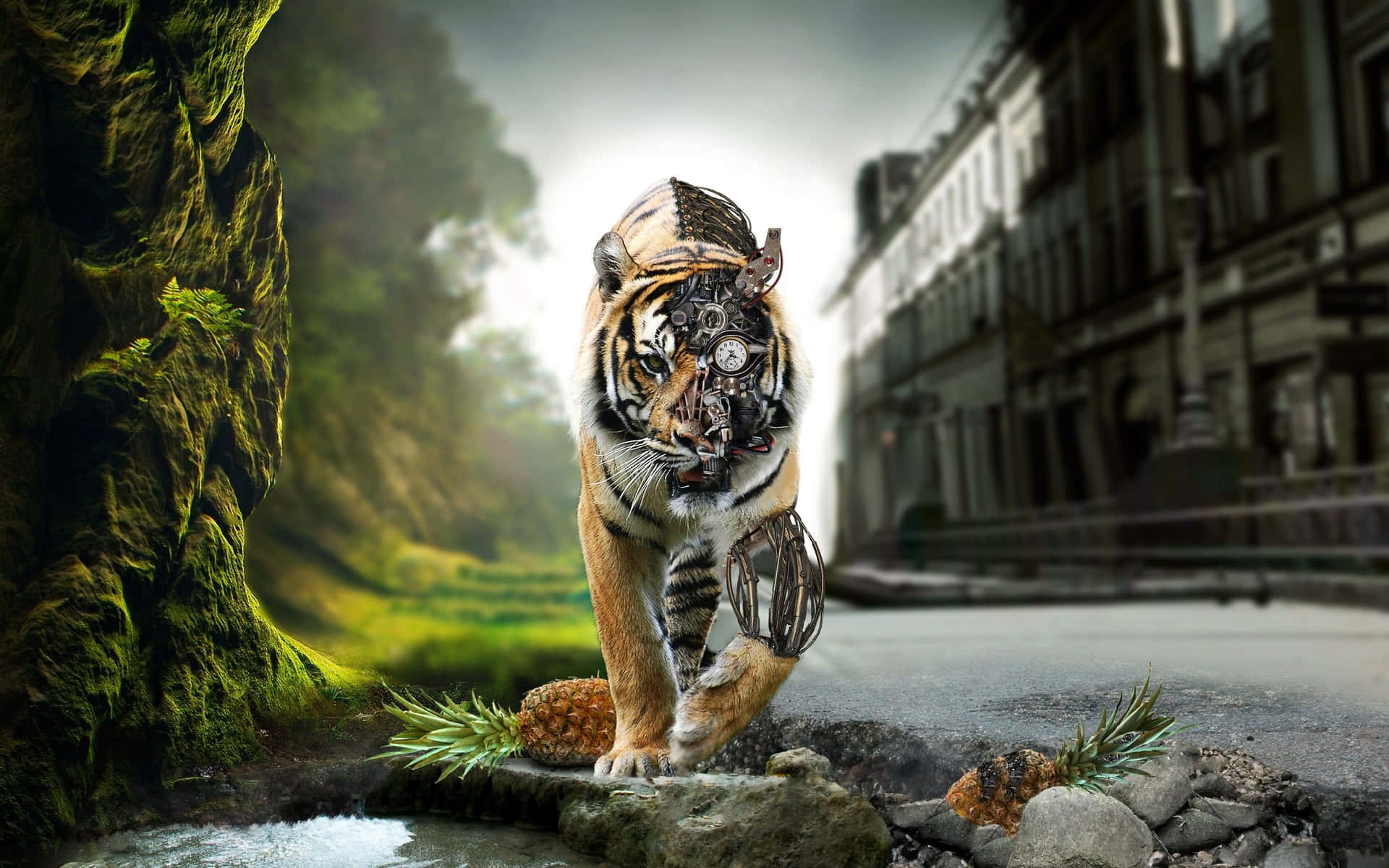 Indian Tiger In A Village Wallpaper