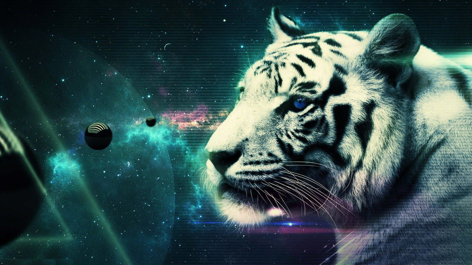 Indian Tiger Space Background
