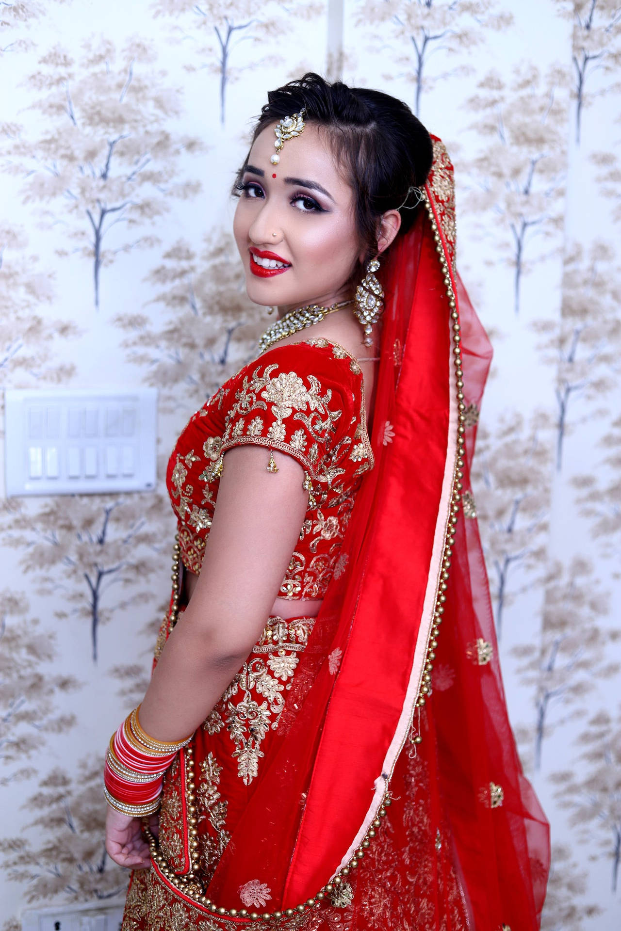 Indian Wedding Red Gold Sari