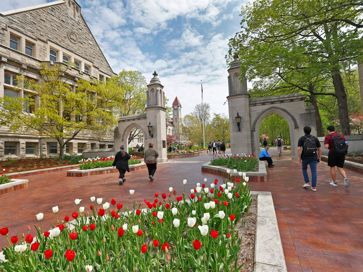 Indiana University Bloomington Tulips And Gate Wallpaper