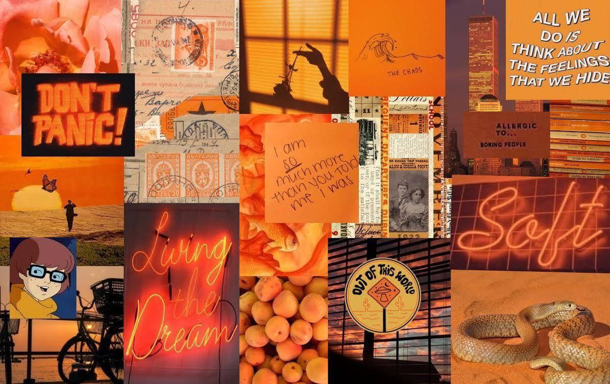 Indie Æstetisk Laptop Orange Collage Wallpaper