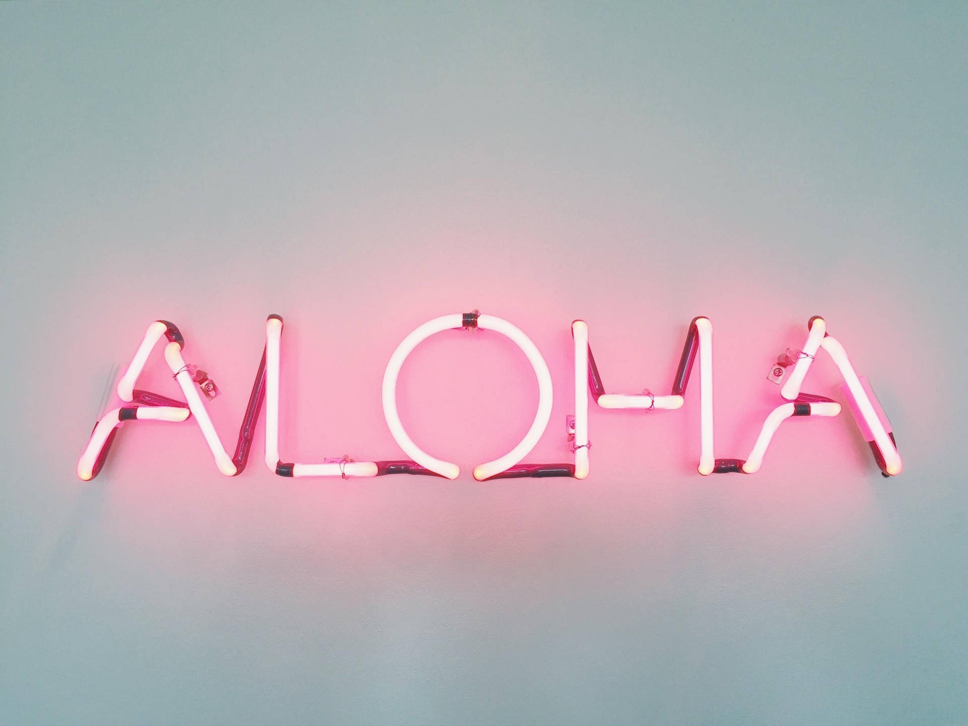 Indie Aesthetic Laptop Aloha Neon Sign Background